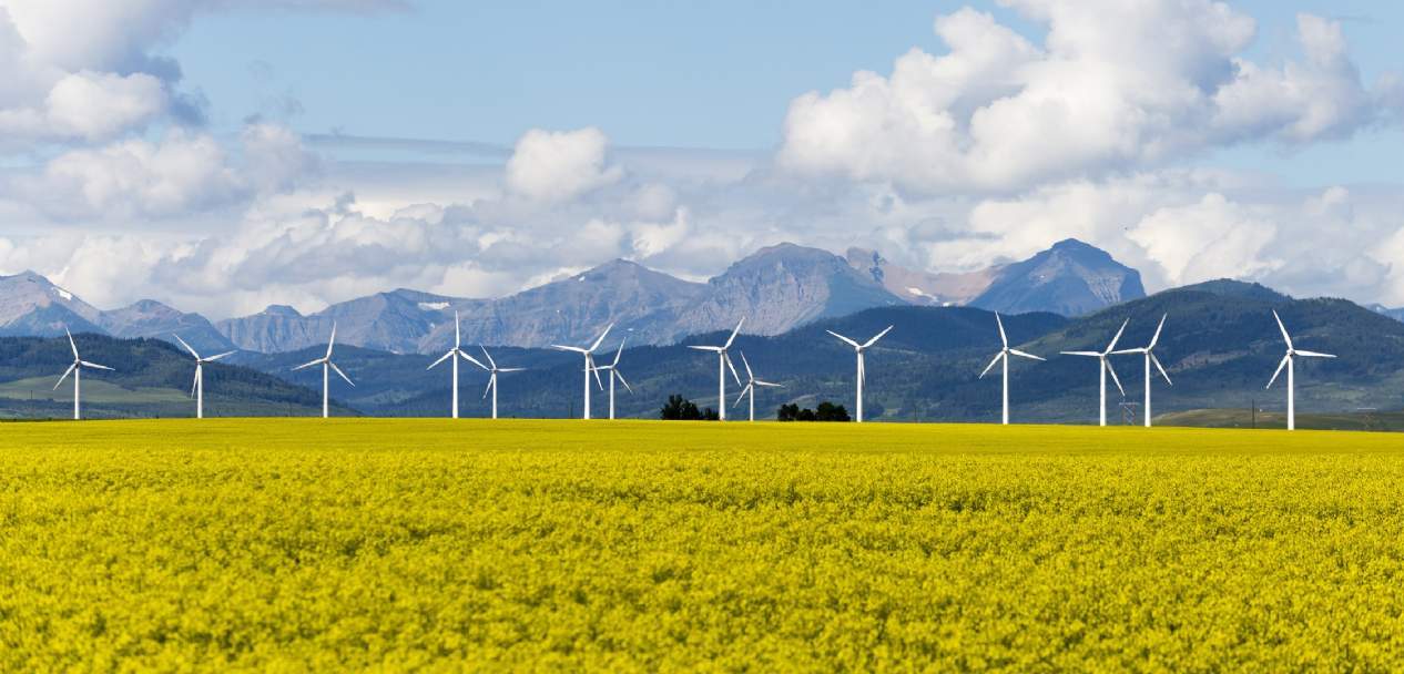 Sustainability
